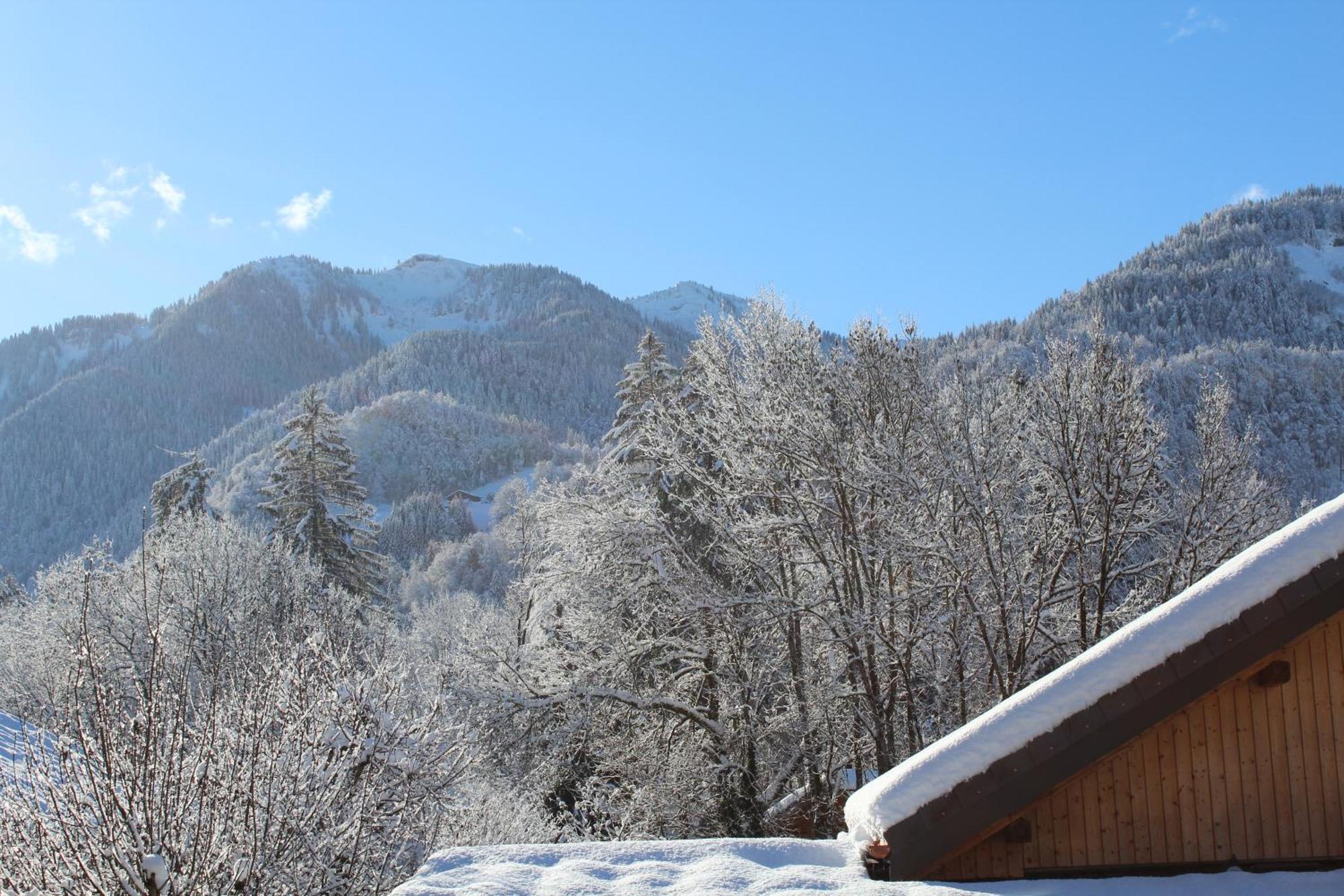 Multi Residences Samoens Bagian luar foto